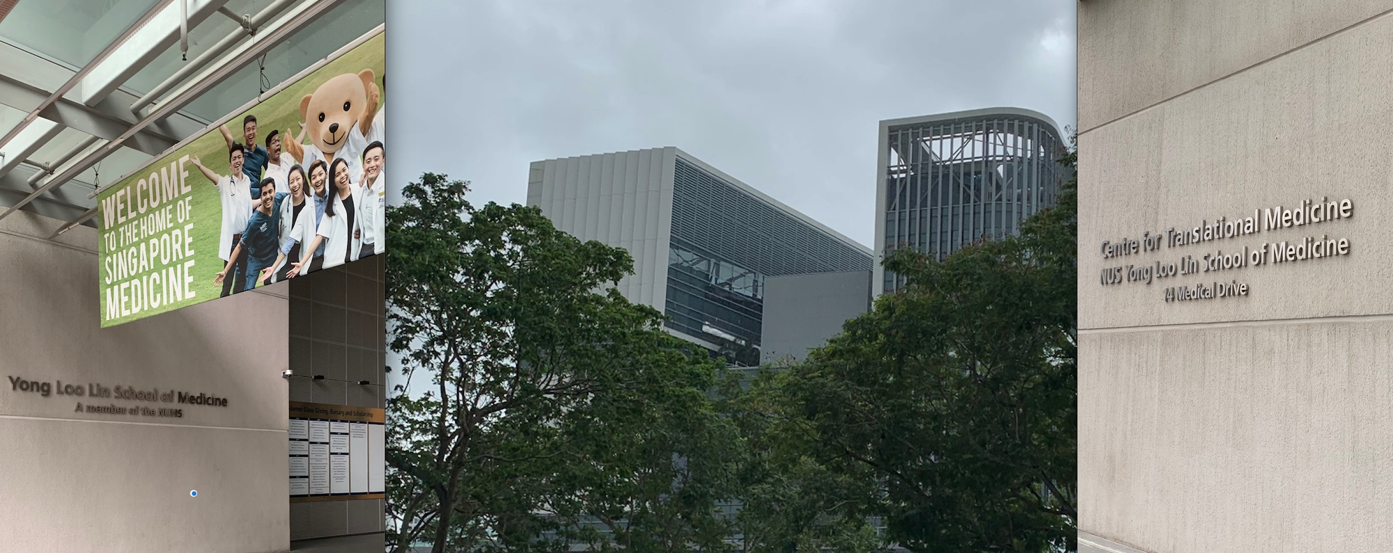 Automation and Measurement Technologies in Life Science Engineering meet Translational Medicine Research in Singapore
