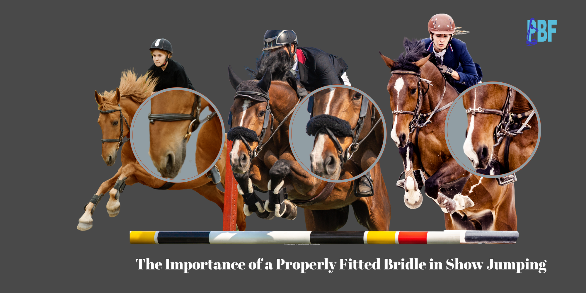 The Biomechanical Importance of Proper Bridle Fit in Show Jumping