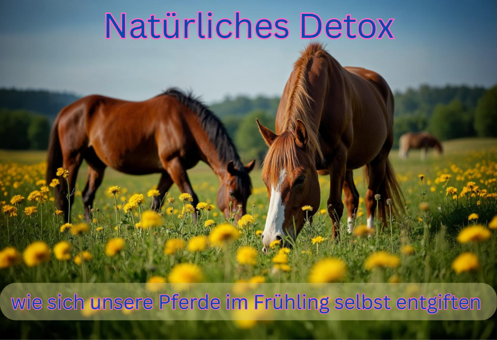Natürliches Detox – wie sich unsere Pferde im Frühling selbst entgiften