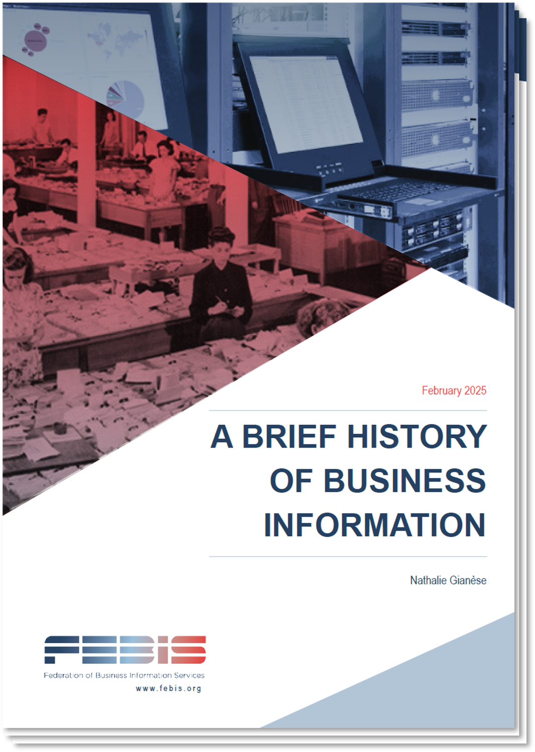 A Brief History Of Business Information