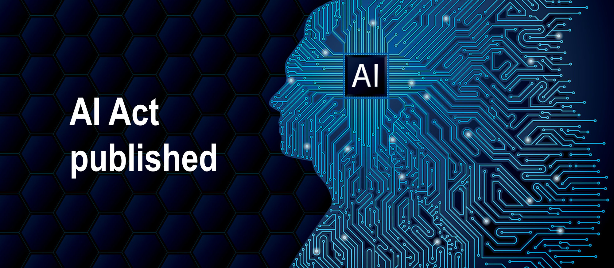 AI Act published