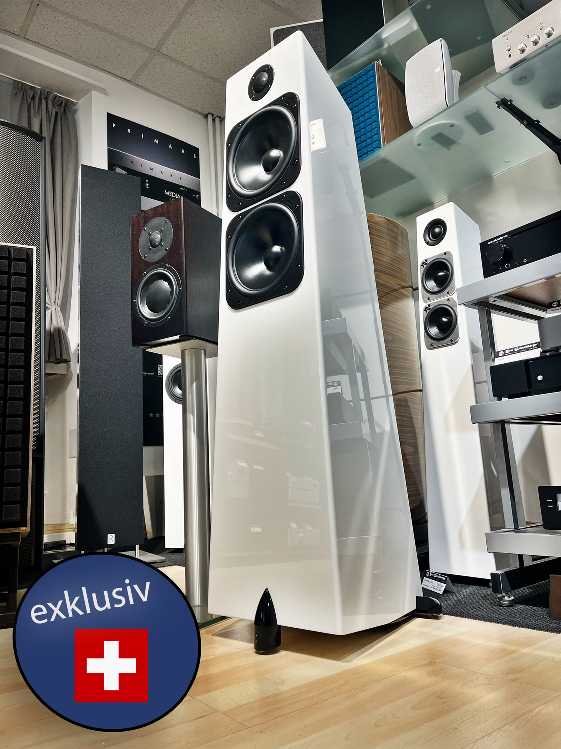 Exklusiv in der Schweiz - Totem Acoustic Metal V2