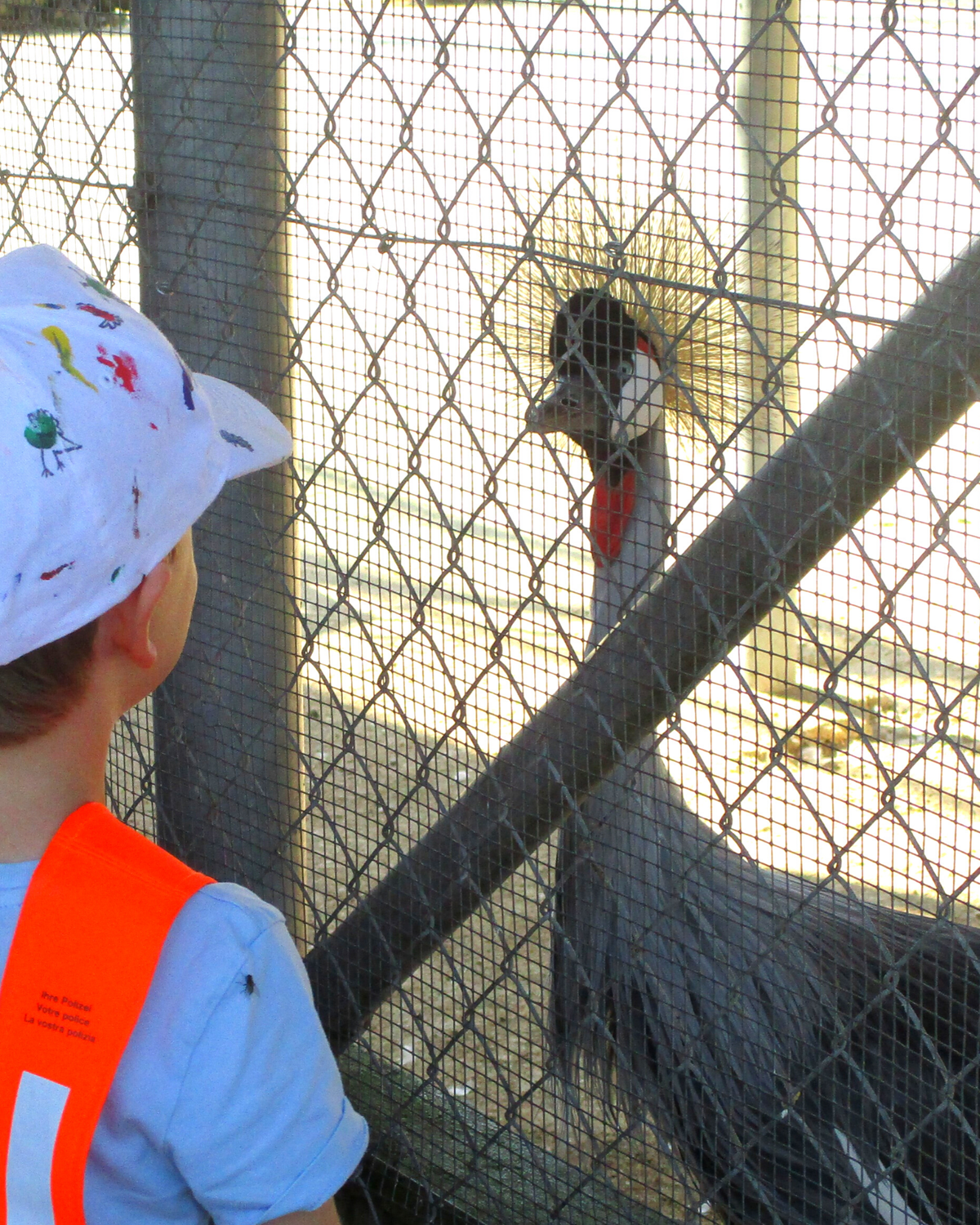 Ein Tag im Tonis Zoo