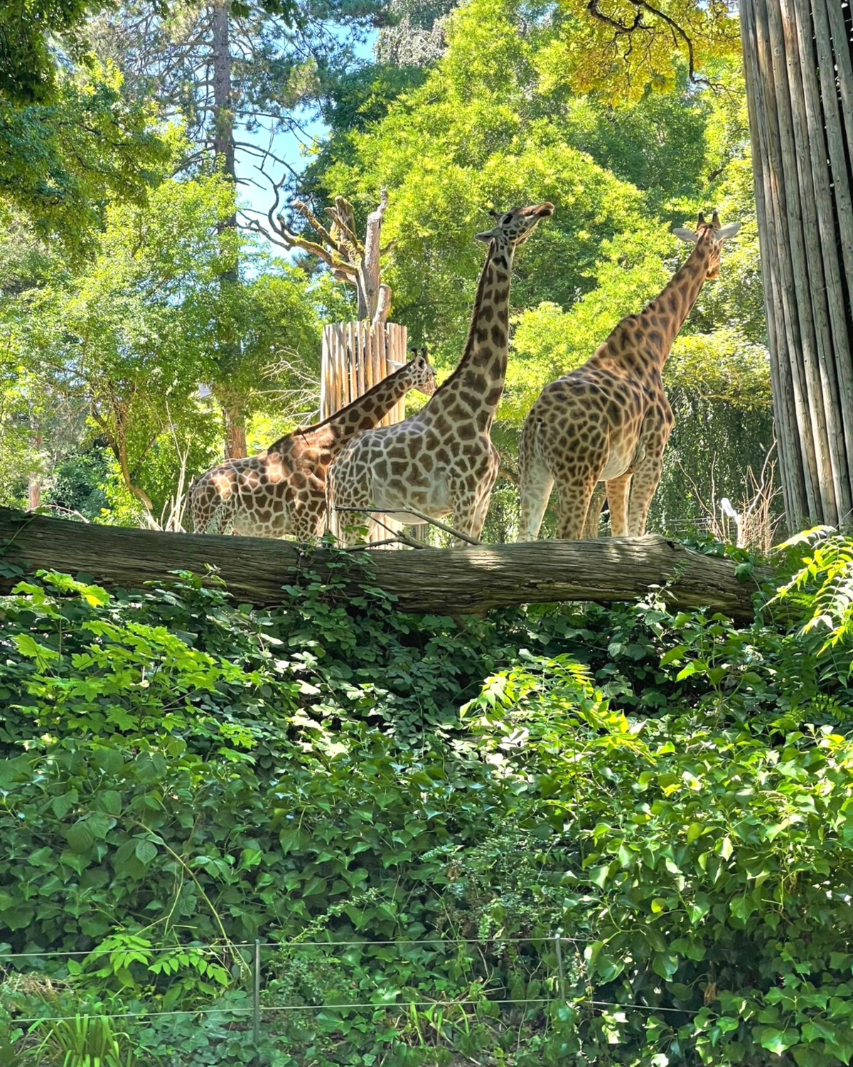 Besuch im Zoo Basel