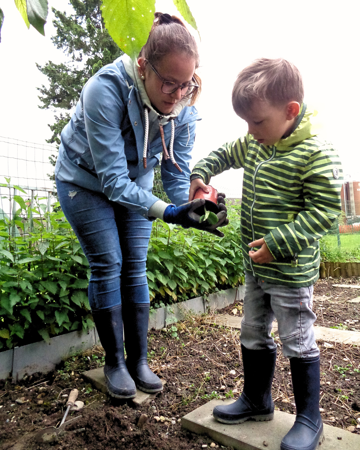 Garten bepflanzen