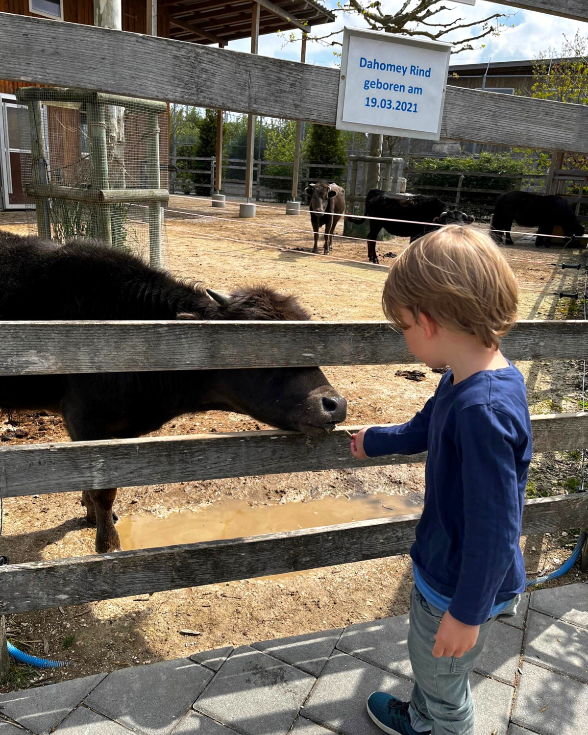 Ausflug in Toni’s Zoo