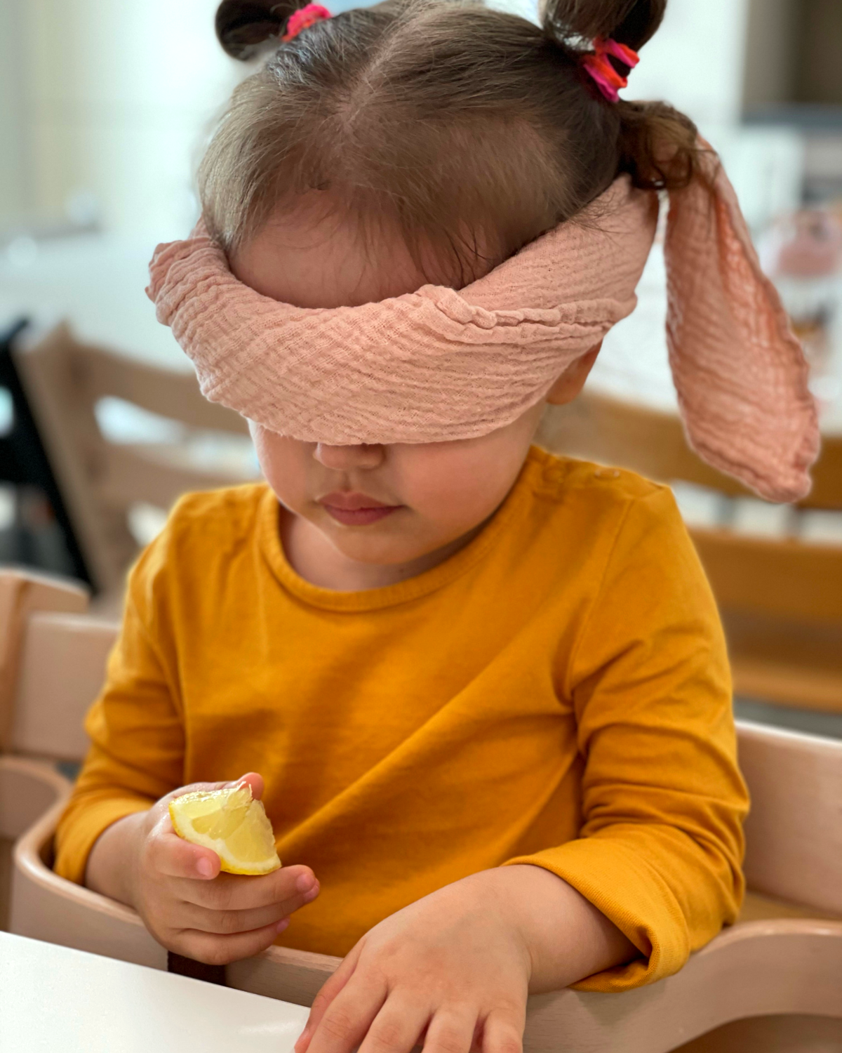 Unsere 5 Sinne entdecken