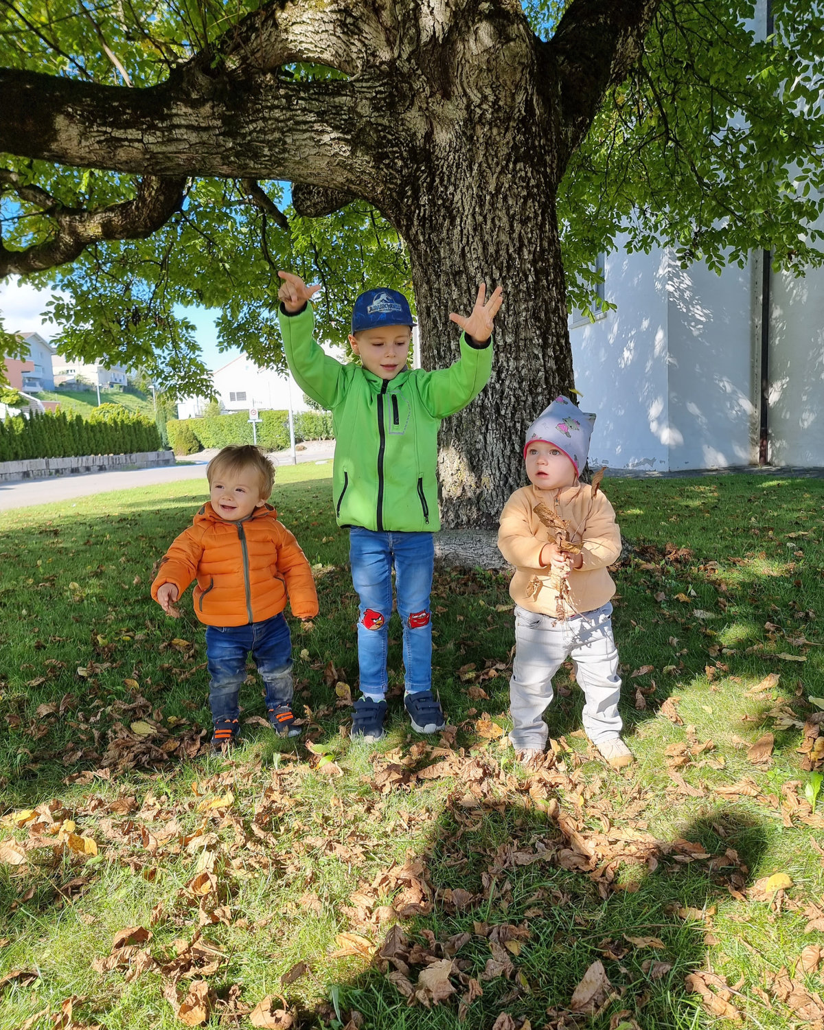 Dem Herbst auf den Spuren