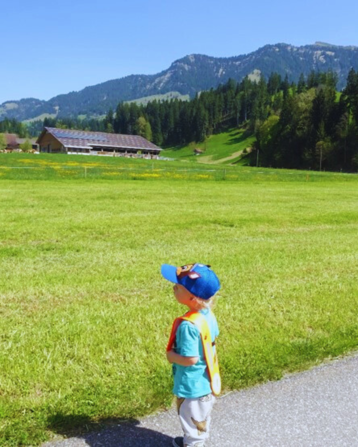 Frühlings-Spaziergang