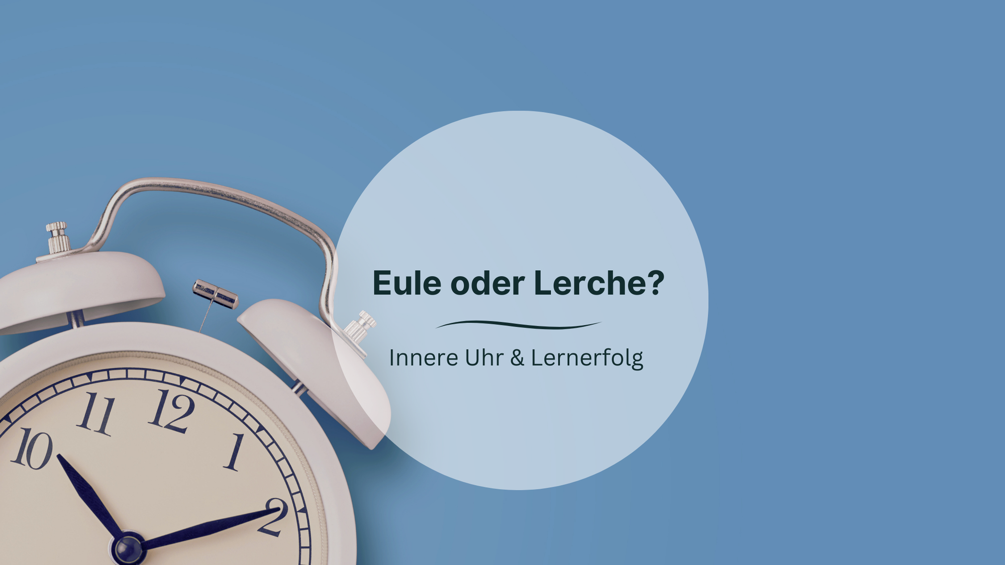 Eule oder Lerche?