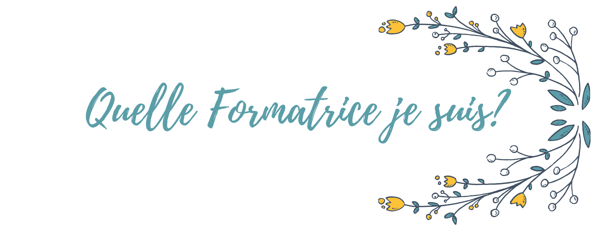 Quelle Formatrice je suis?