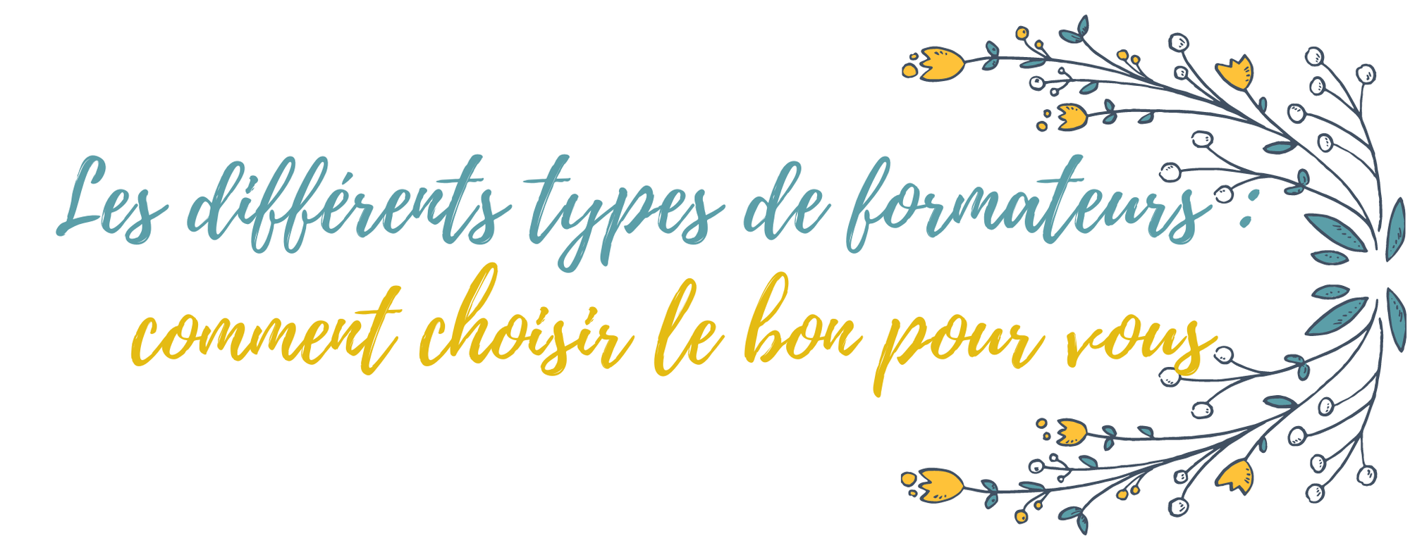 Les différents types de formateurs : comment choisir le bon pour vous