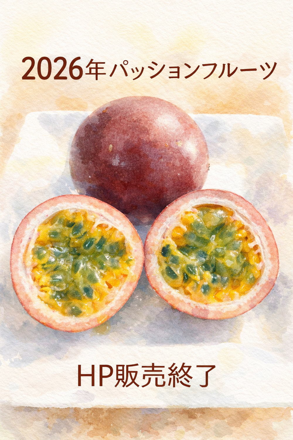 ２０２６年　販売終了しました。