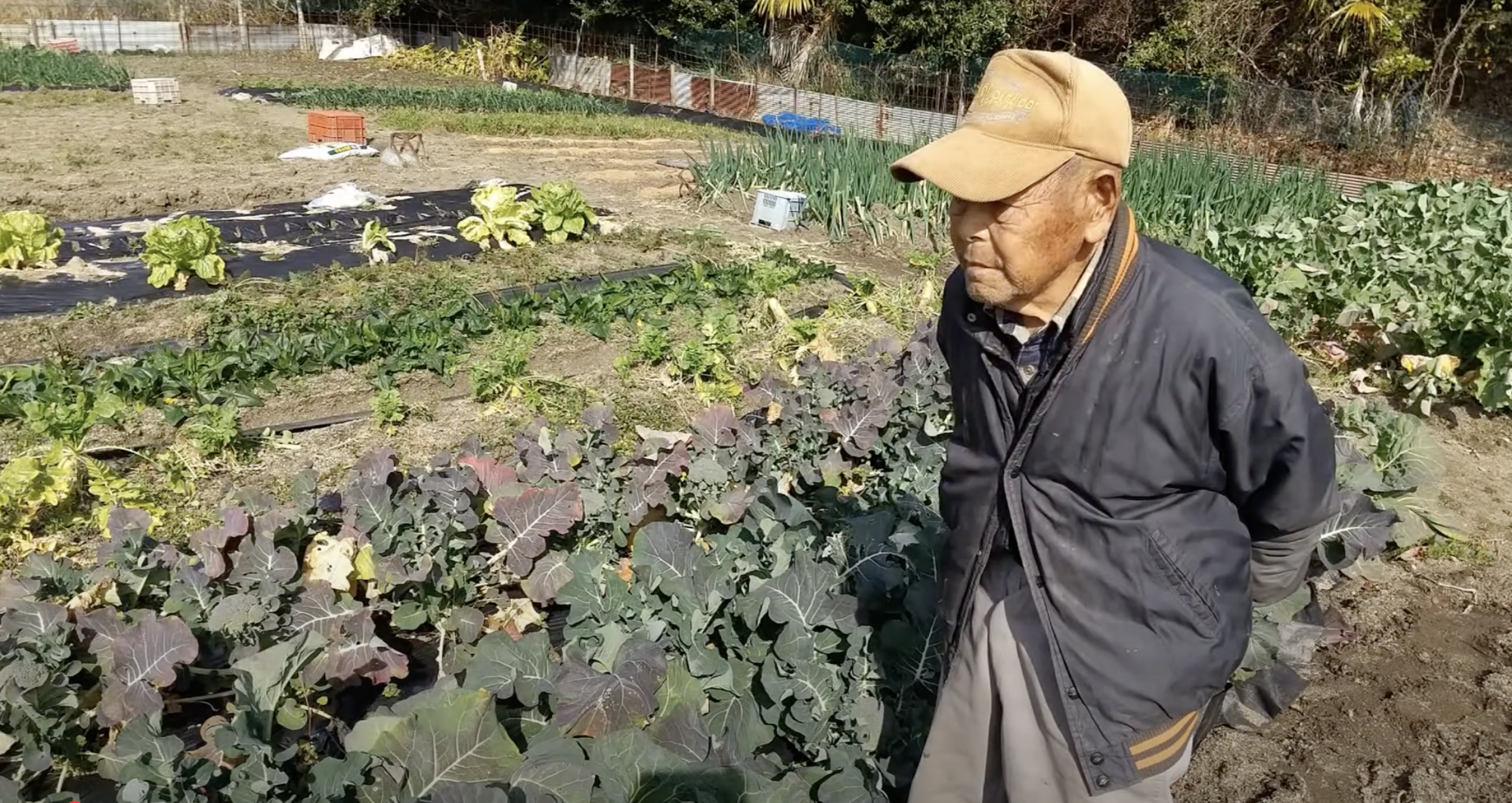 【周防大島民話】101歳現役岡本次郎さんに関すること