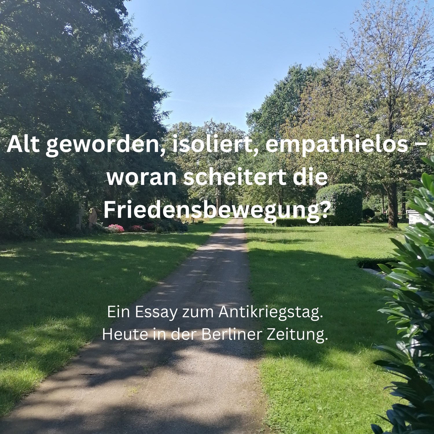 Friedensbewegung: Alt geworden, isoliert, empathielos.