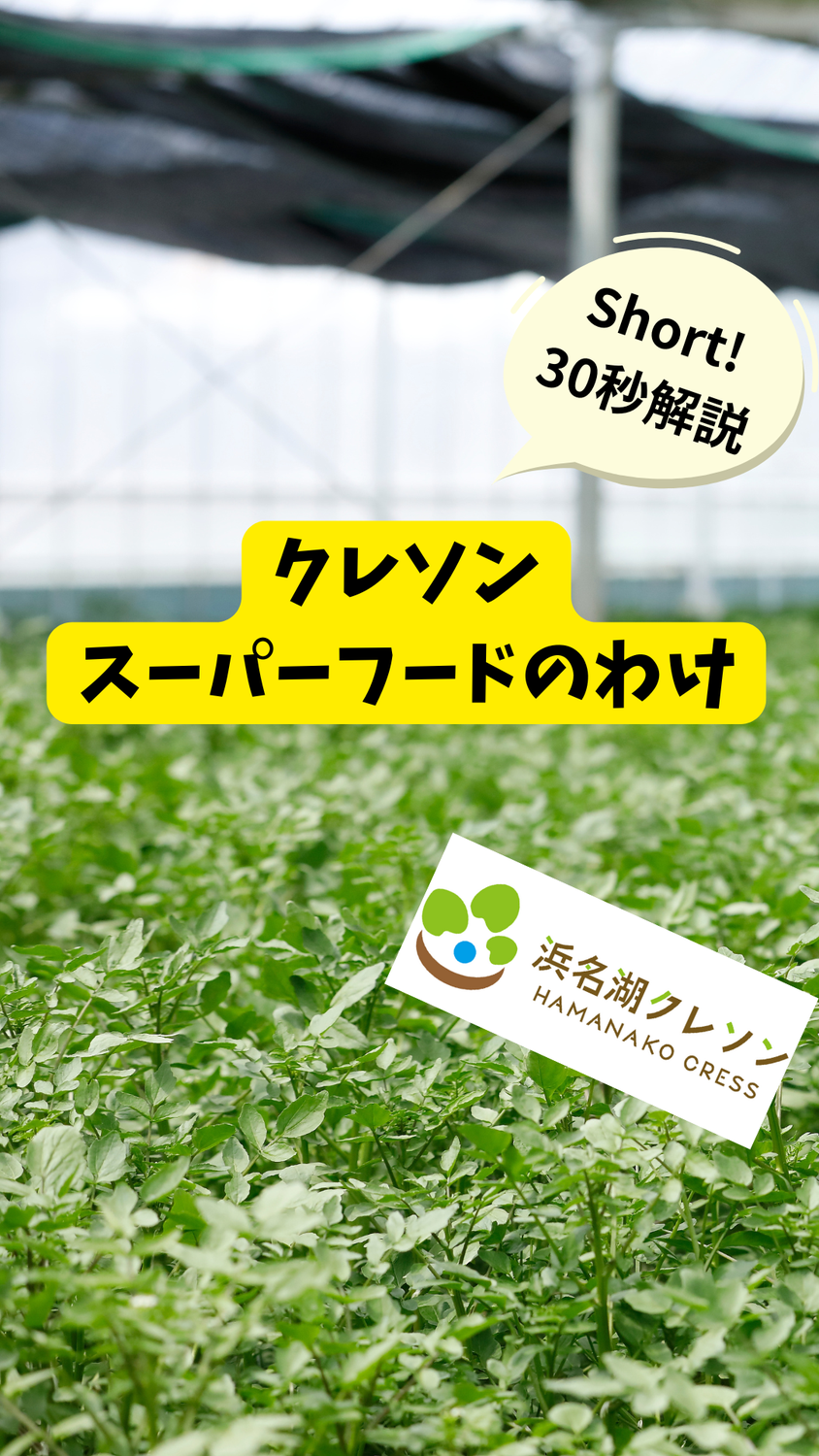 クレソンがスーパーフードのワケ
