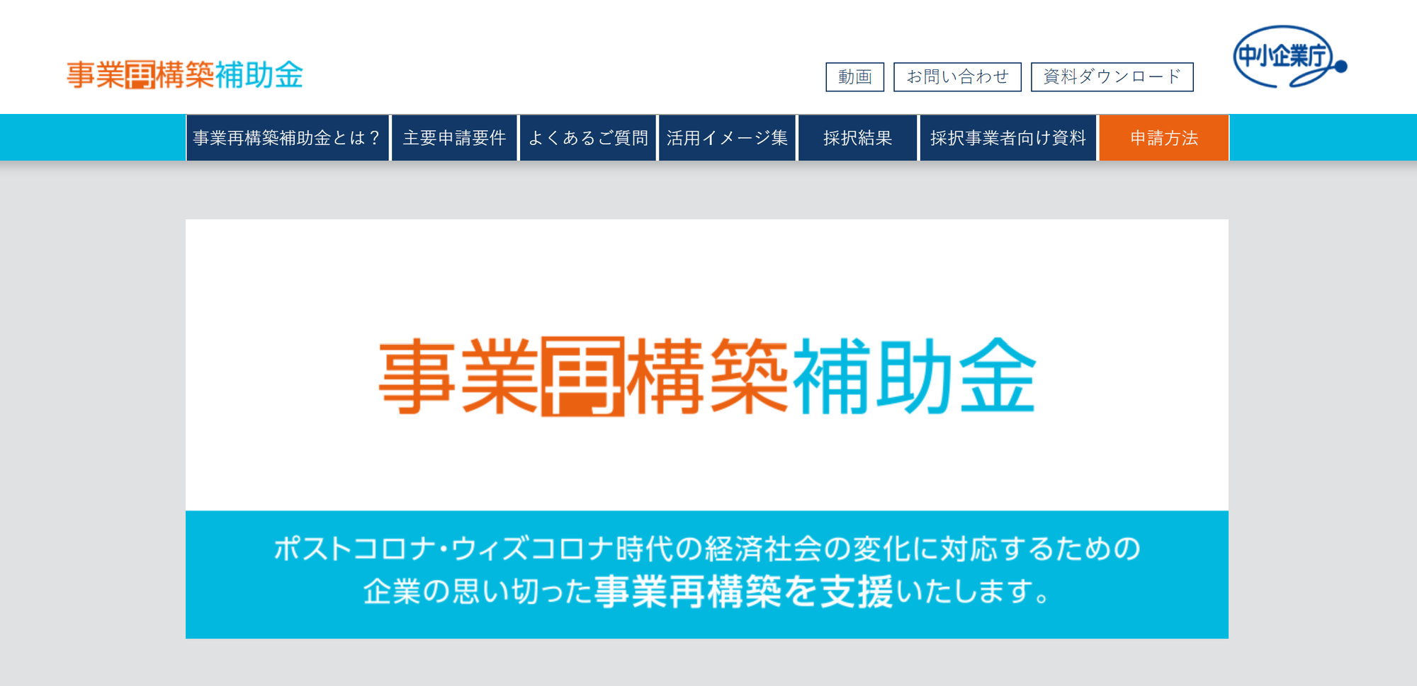 事業再構築補助金 補助事業の手引き