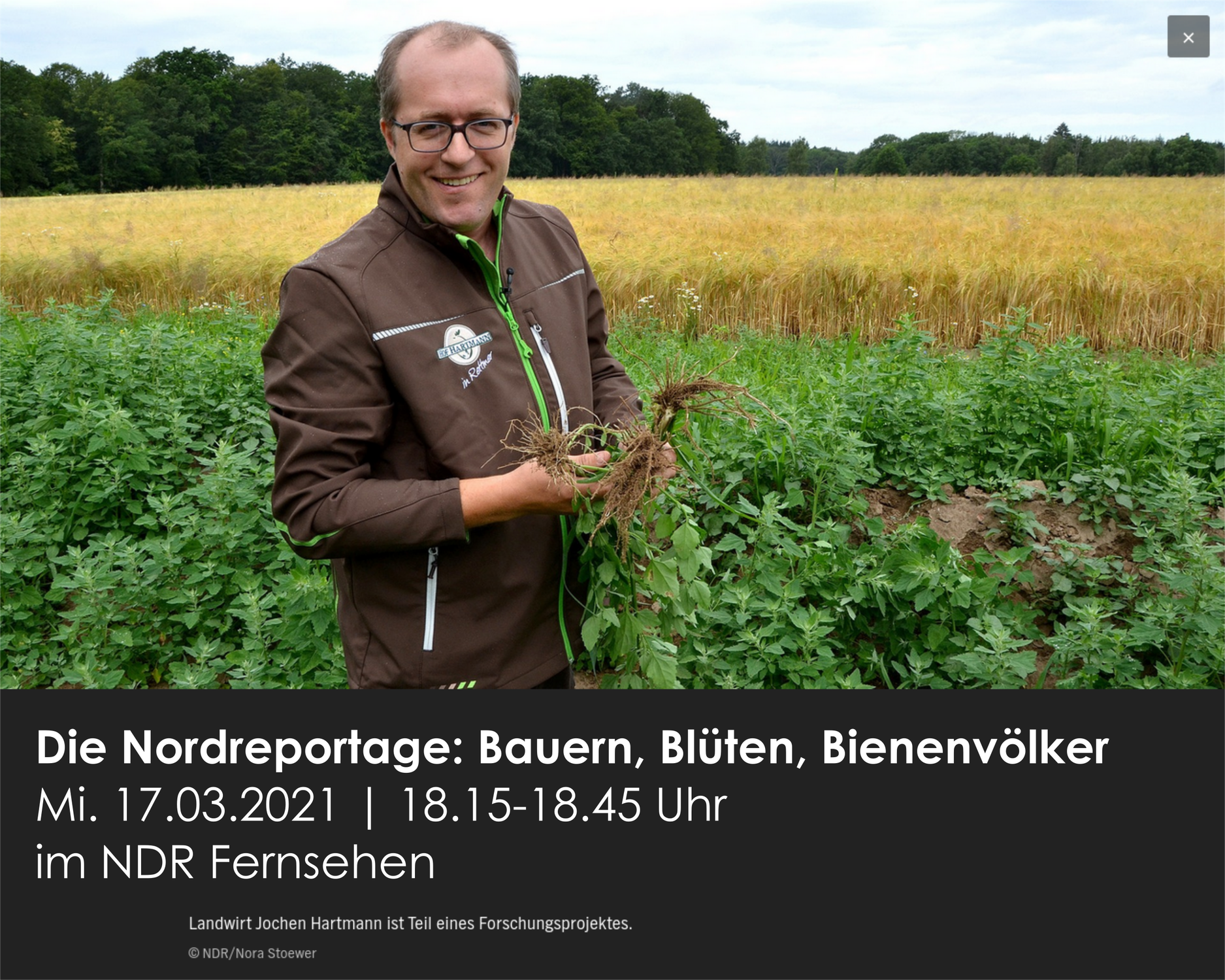 Beetle Banks, Blühstreifen, Biodiversität: Hof Hartmann in der NDR Nordreportage