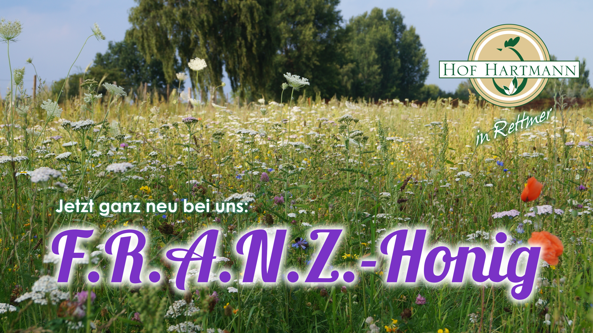 Für ein blumiges Frühstück: unser F.R.A.N.Z.-Honig