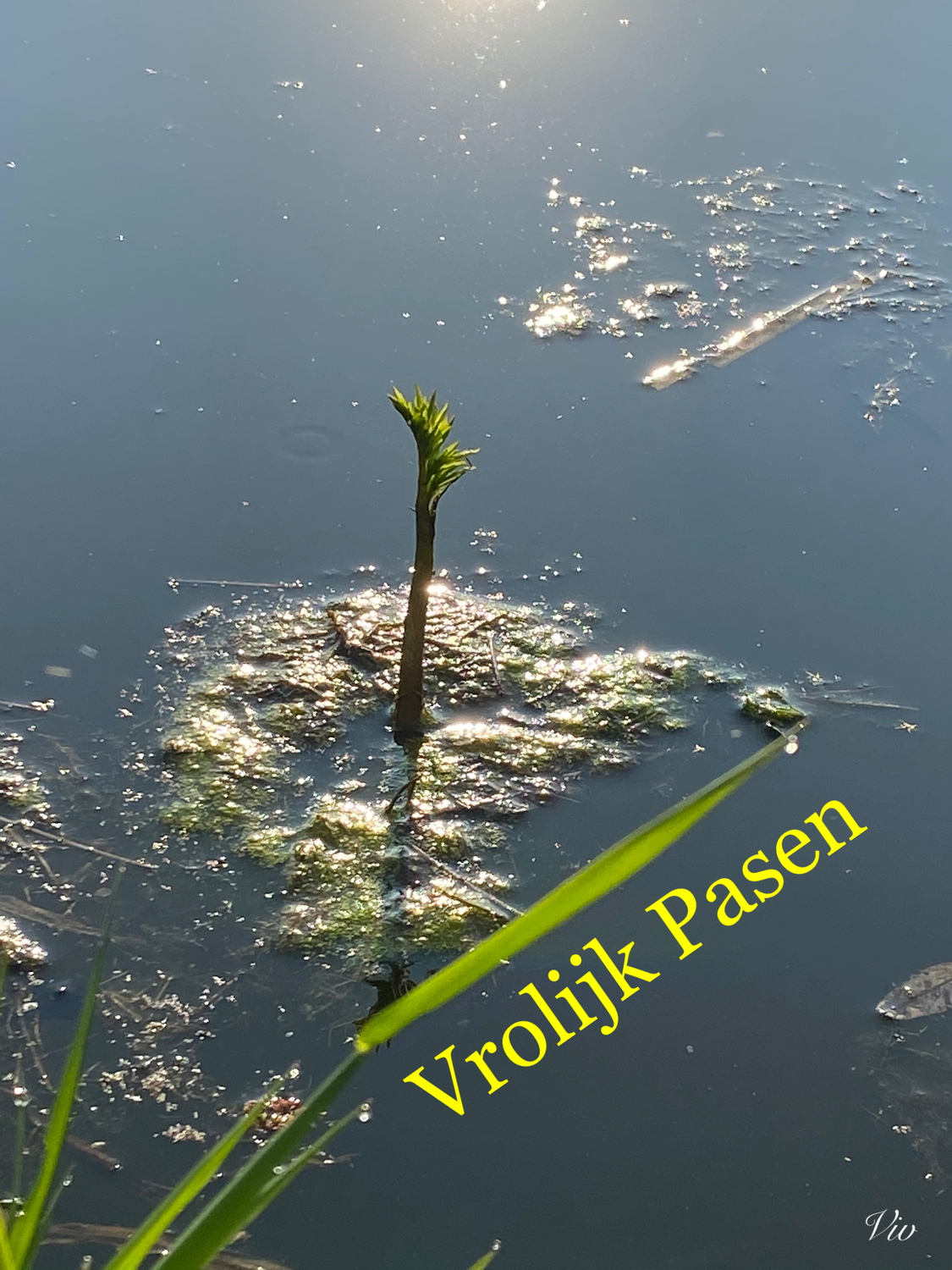 Vrolijk Pasen