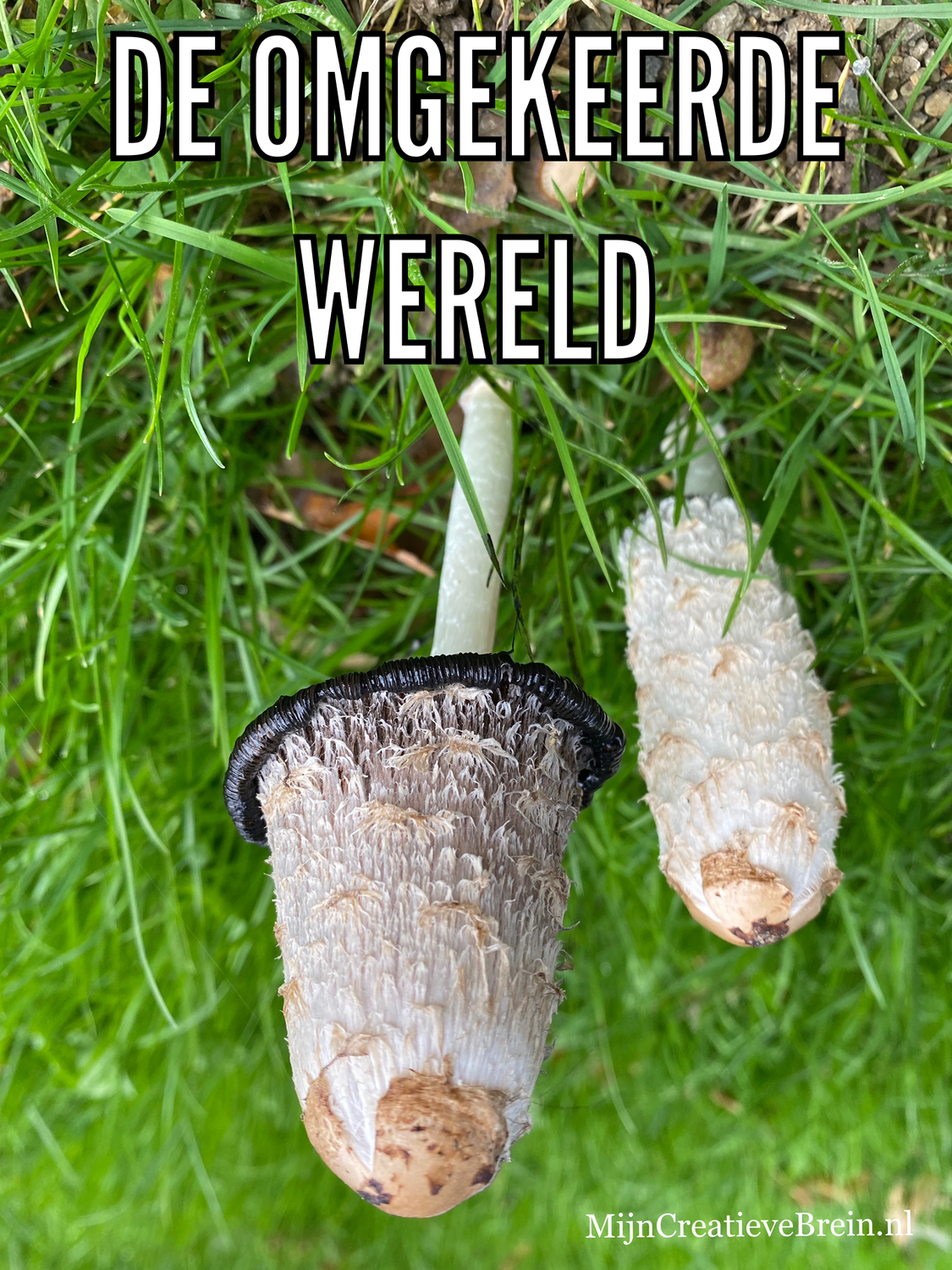 Het staat op je netvlies