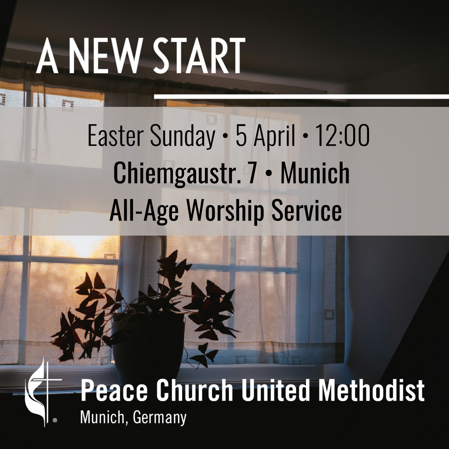 Easter: A New Start
