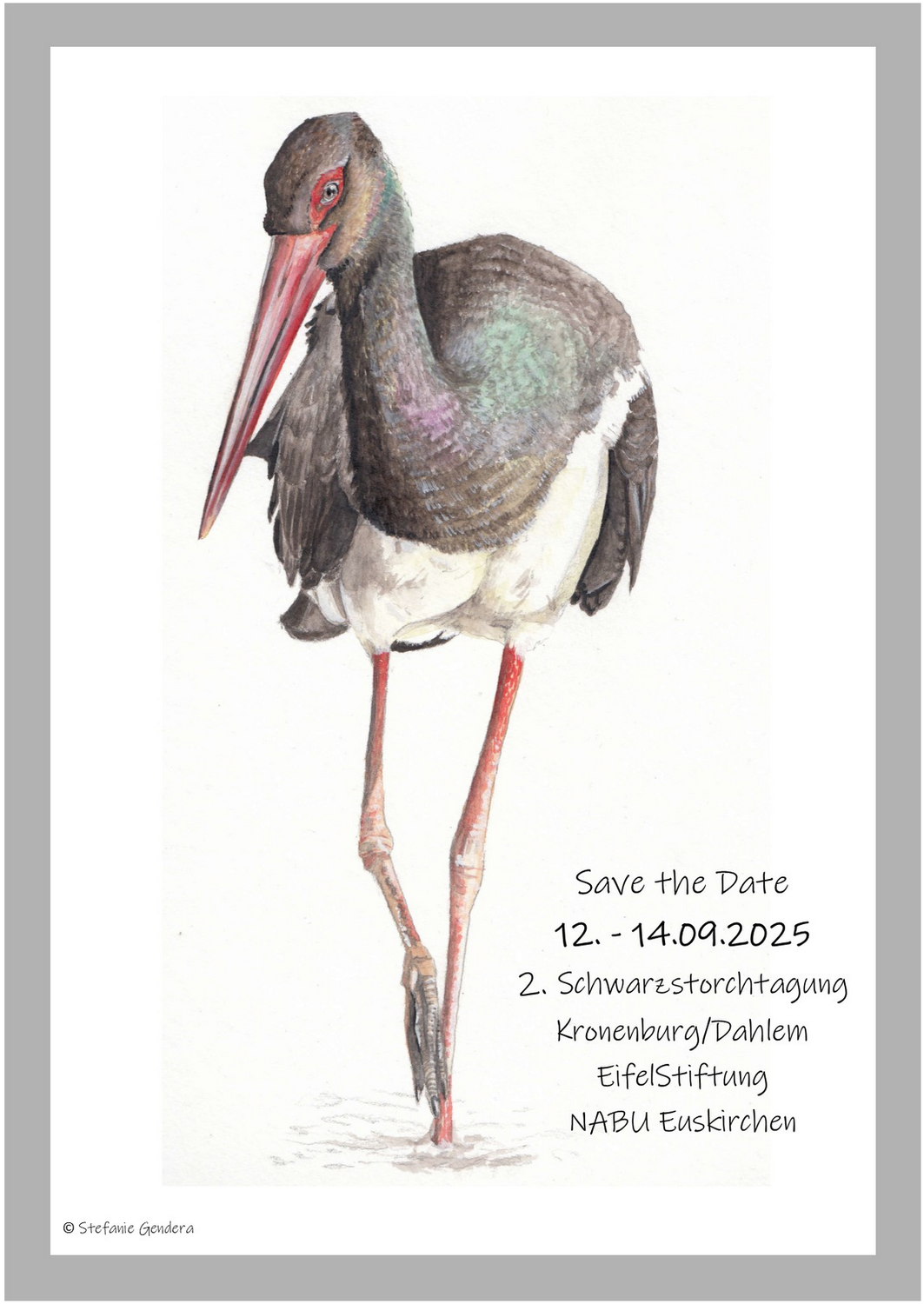 Zweite Schwarzstorch-Tagung