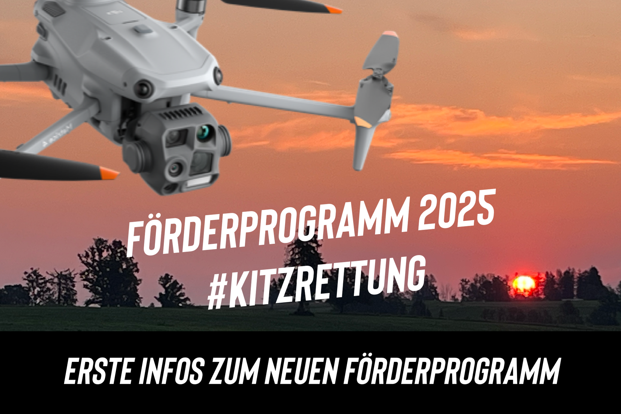 Förderprogramm 2025