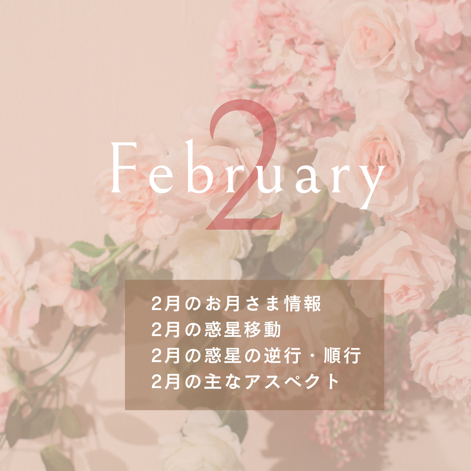 2025年2月の星情報