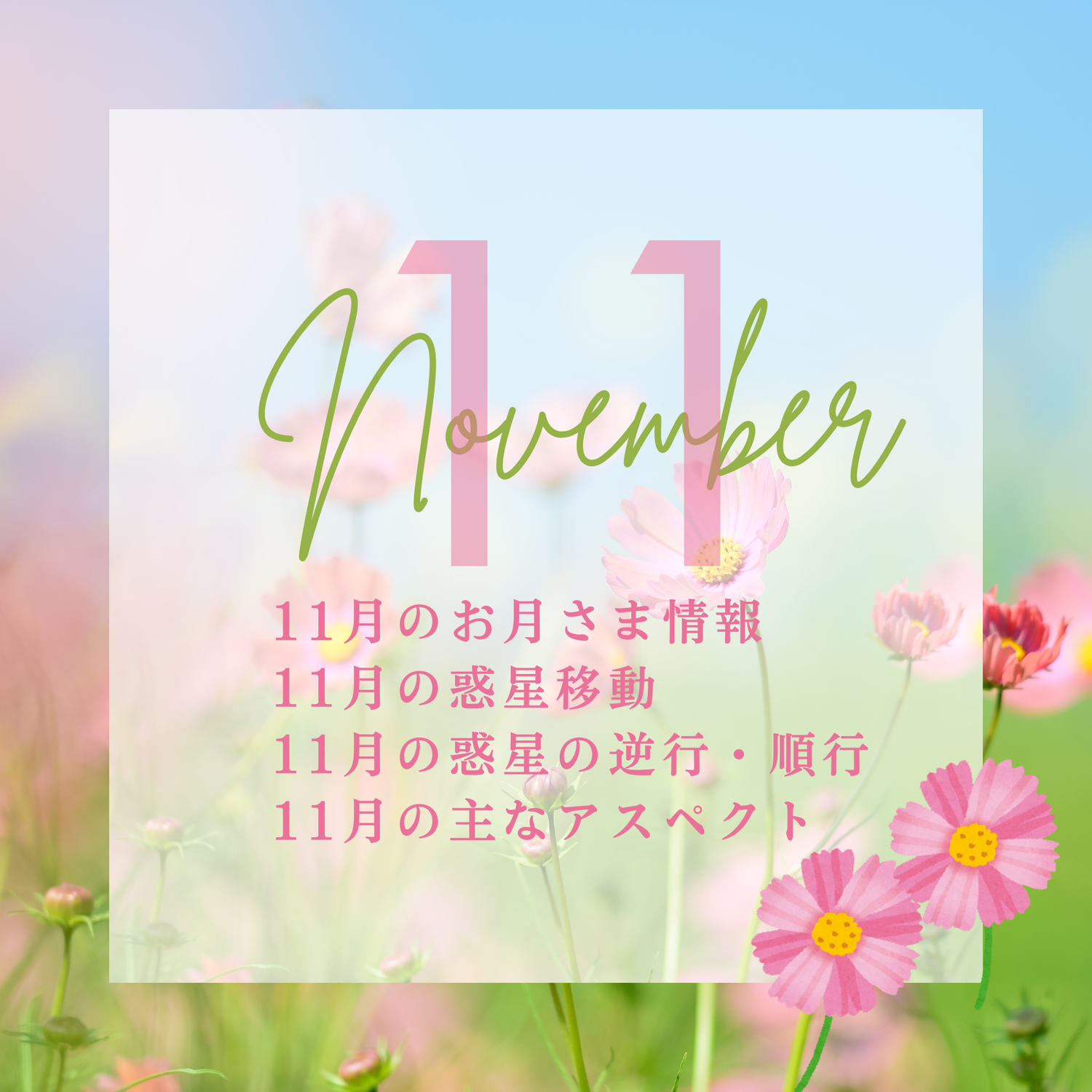 2025年11月の星情報