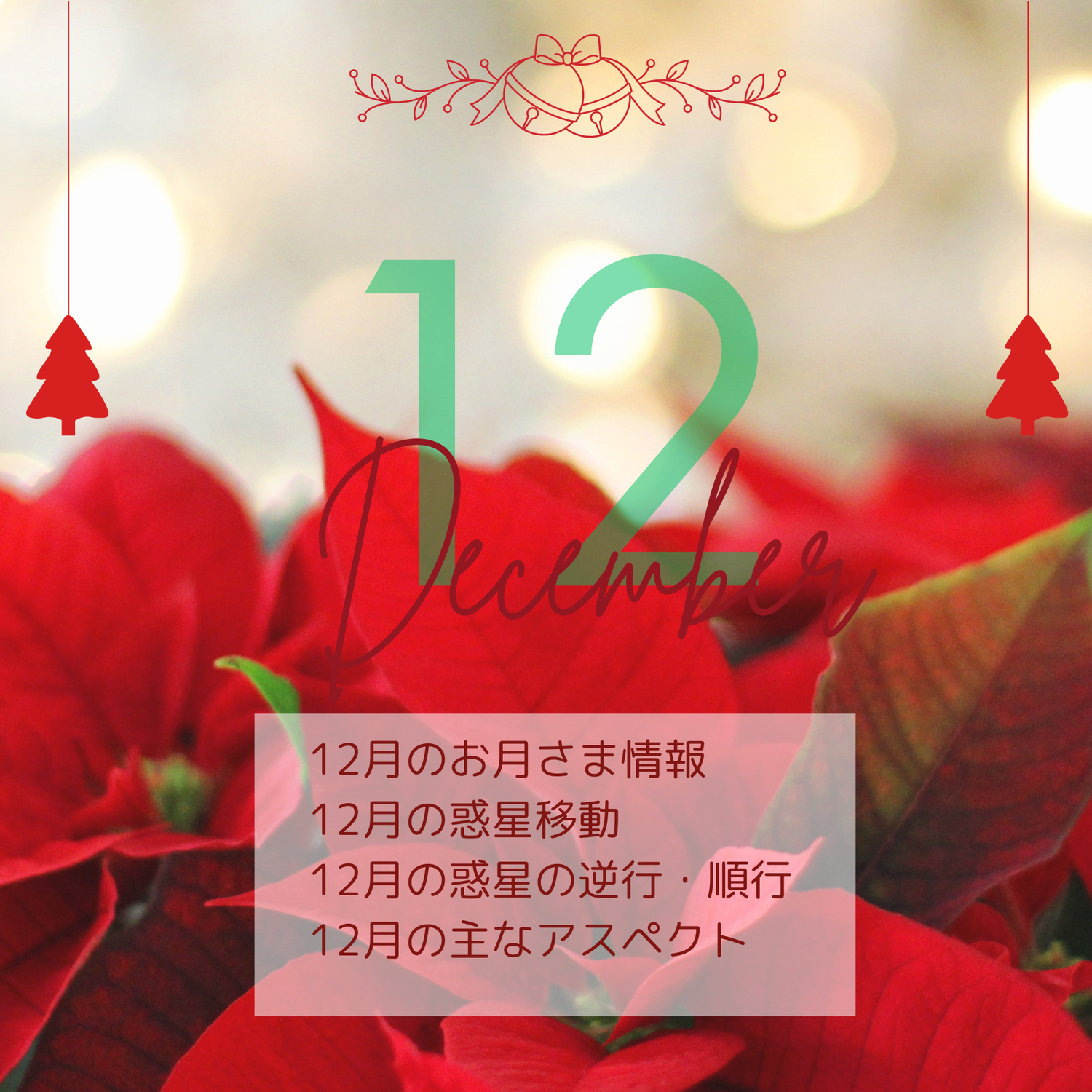 2024年12月の星情報