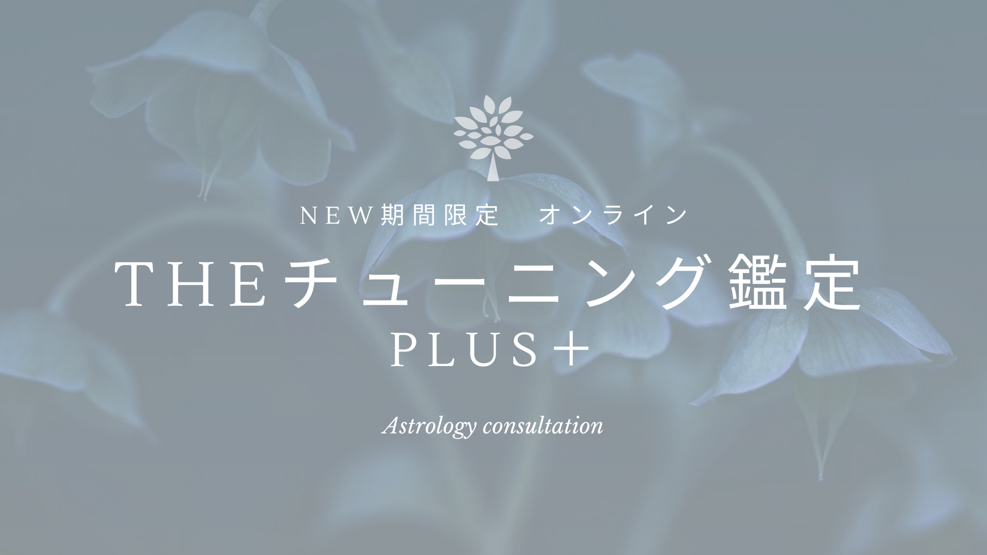 ＜終了間近＞オンライン鑑定〜THE チューニング鑑定 PLUS＋〜