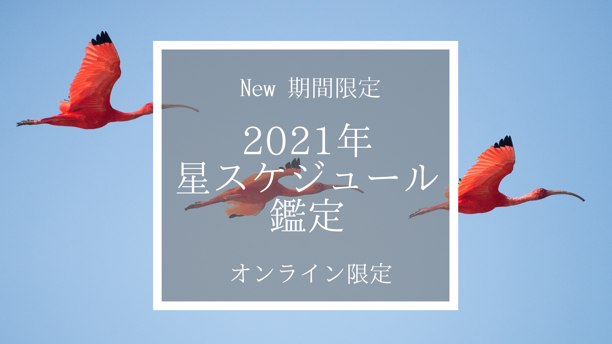 ＜期間限定＞オンライン限定〜星スケジュール鑑定〜