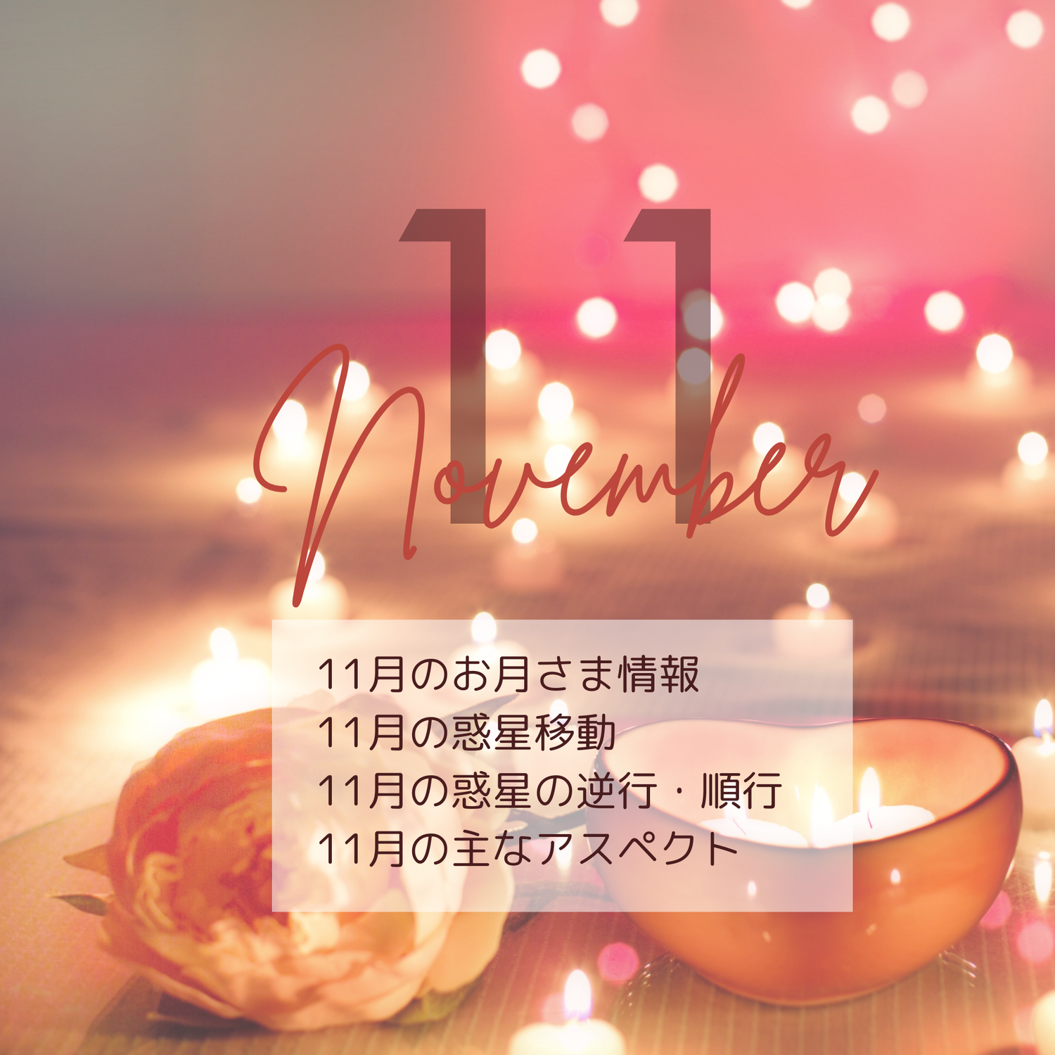 2024年11月の星情報