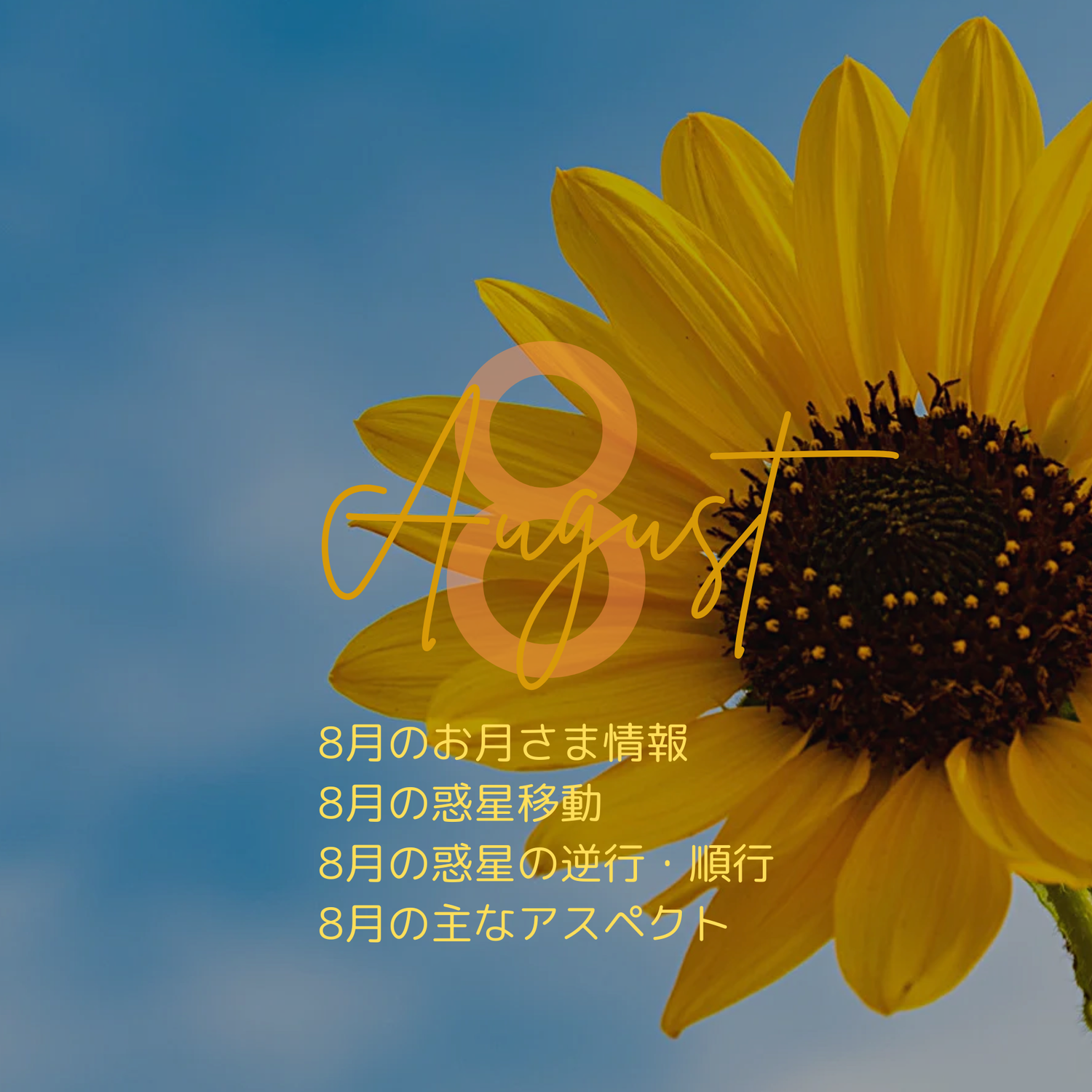2024年8月の星情報