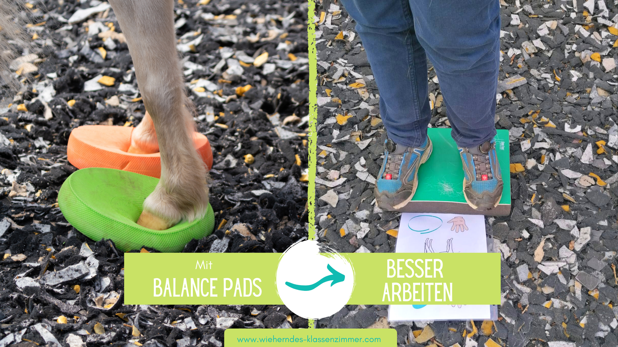 Geheimtipp: Balance Pads in Reittherapie und Reitpädagogik!