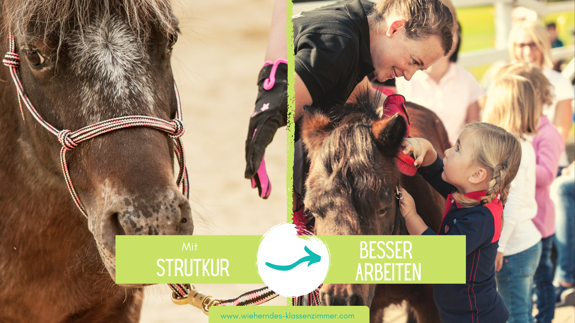 Begehst Du den schlimmsten Fehler in Deiner reitpädagogischen oder reittherapeutischen Arbeit?