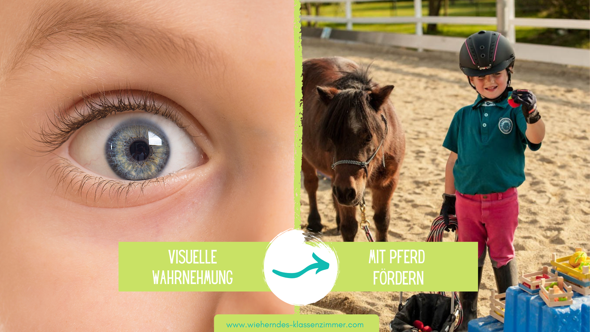 Ideen für Reitpädagogik und Reittherapie: Themenreihe "Visuelle Wahrnehmung fördern"!