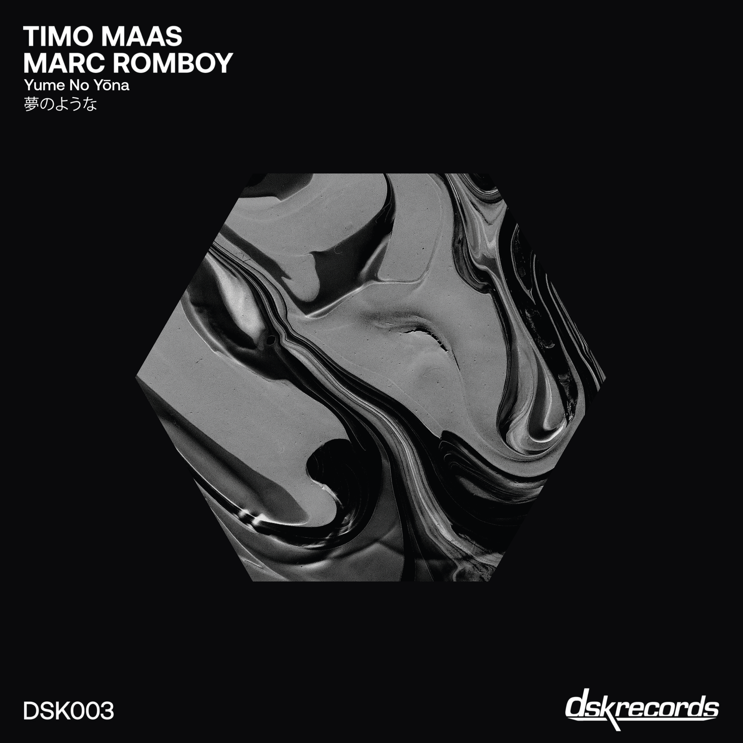 Timo Maas and Marc Romboy