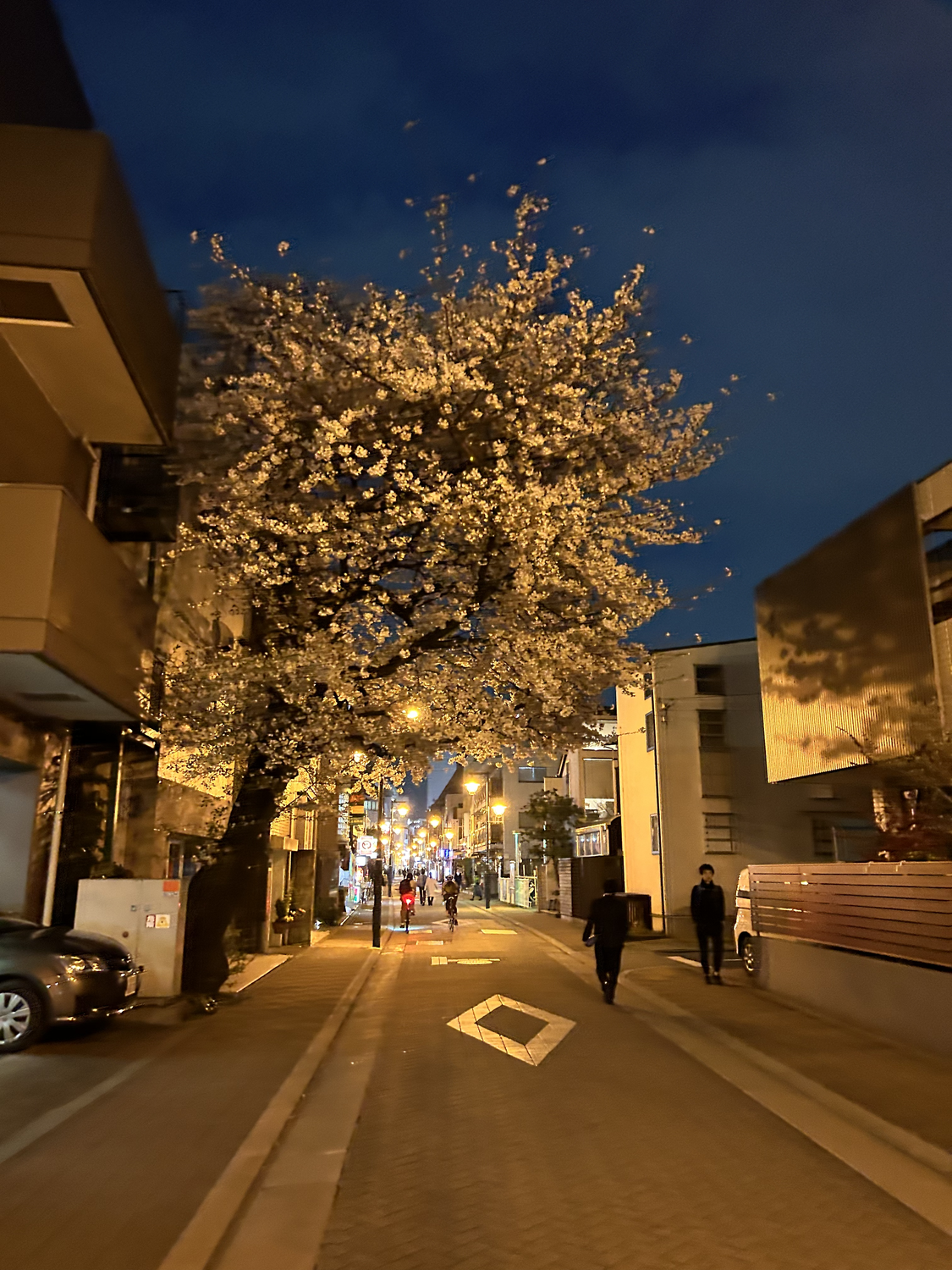 桜を見ると思い出す事がある話