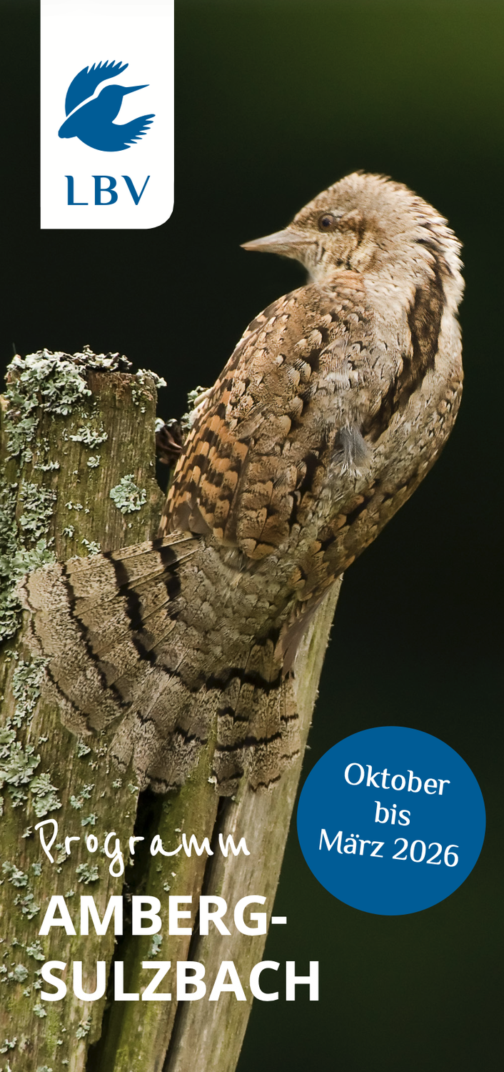 Programm Oktober bis März 26