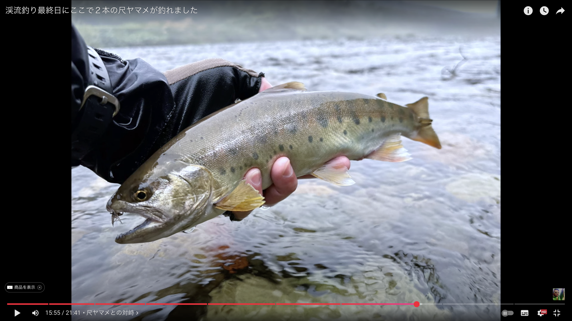 ダイワ CW PM カーボウィスカー パワーメッシュ テンカラ 33