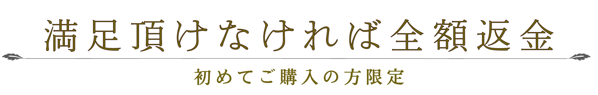 初めてご購入の方の返金保証について