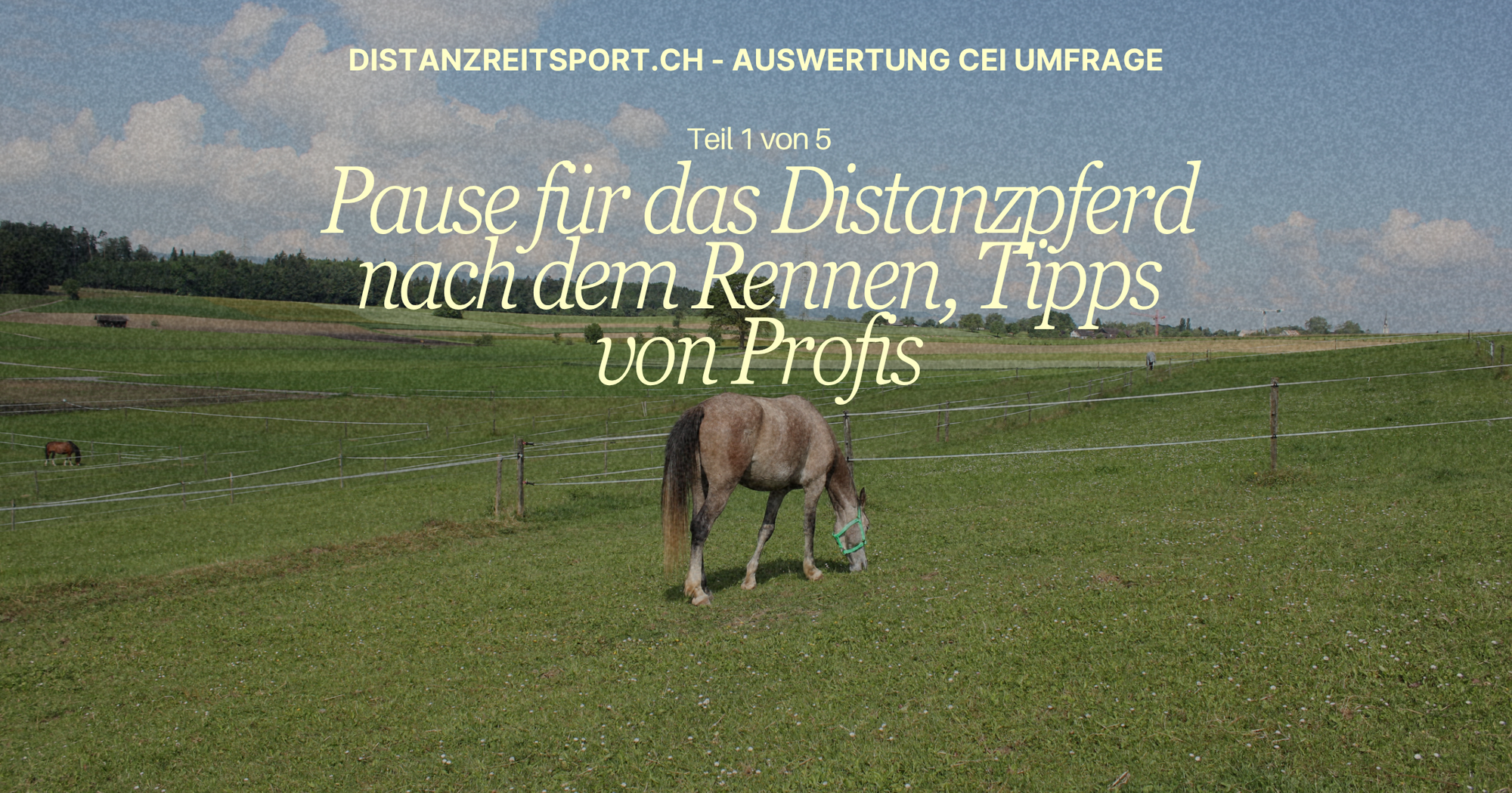 Resultate CEI Umfrage Teil 1 - Pause