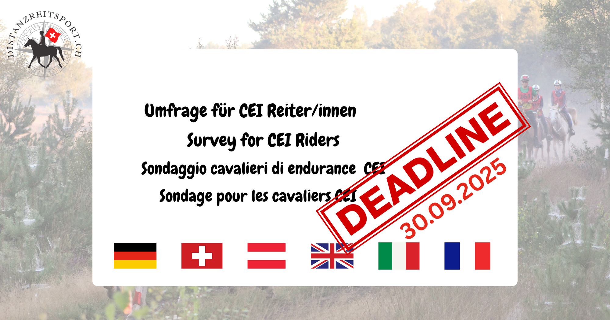 Umfrage für CEI Reiter - Know-How im Distanzreitsport