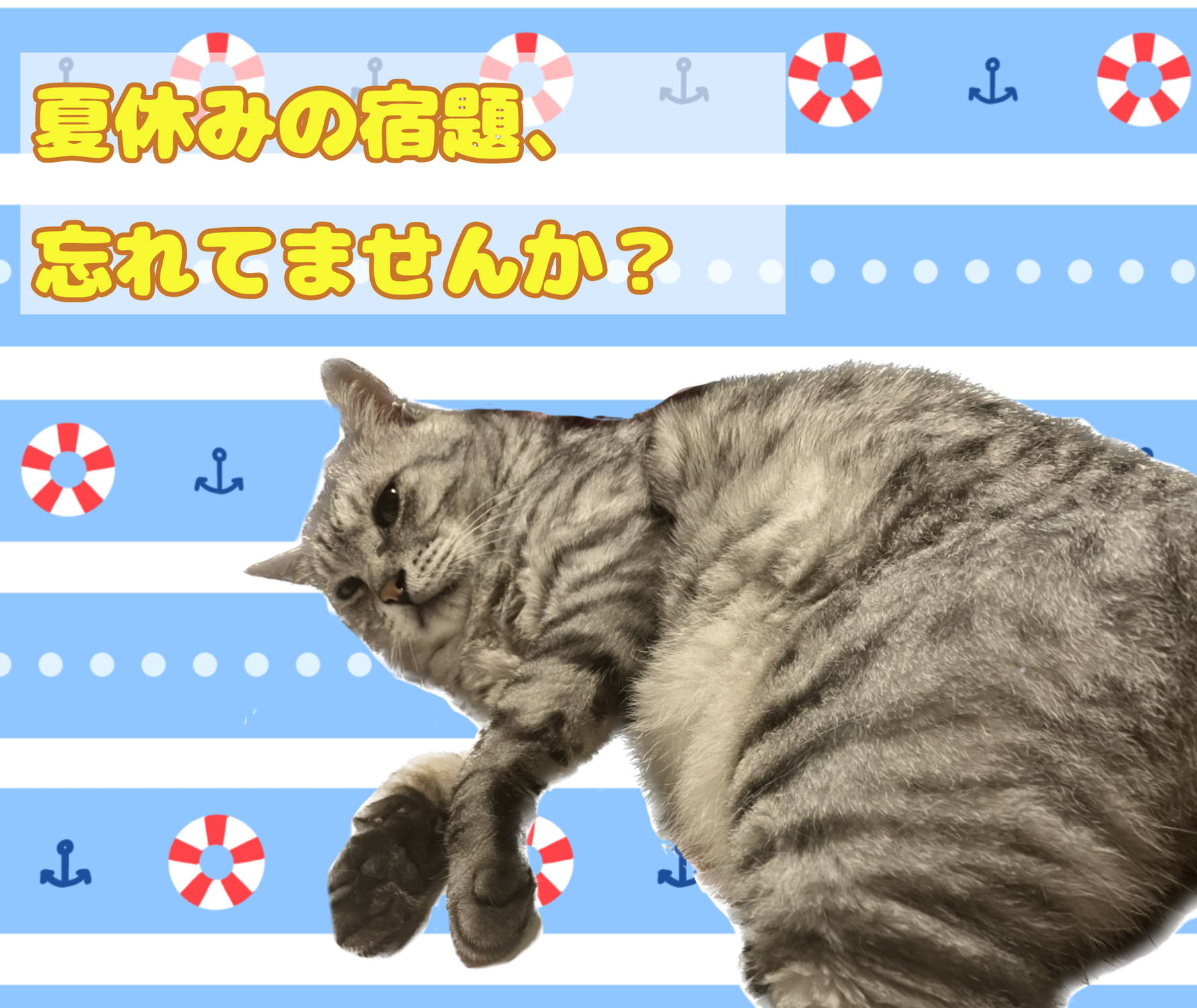 夏休みの宿題　お手伝いします