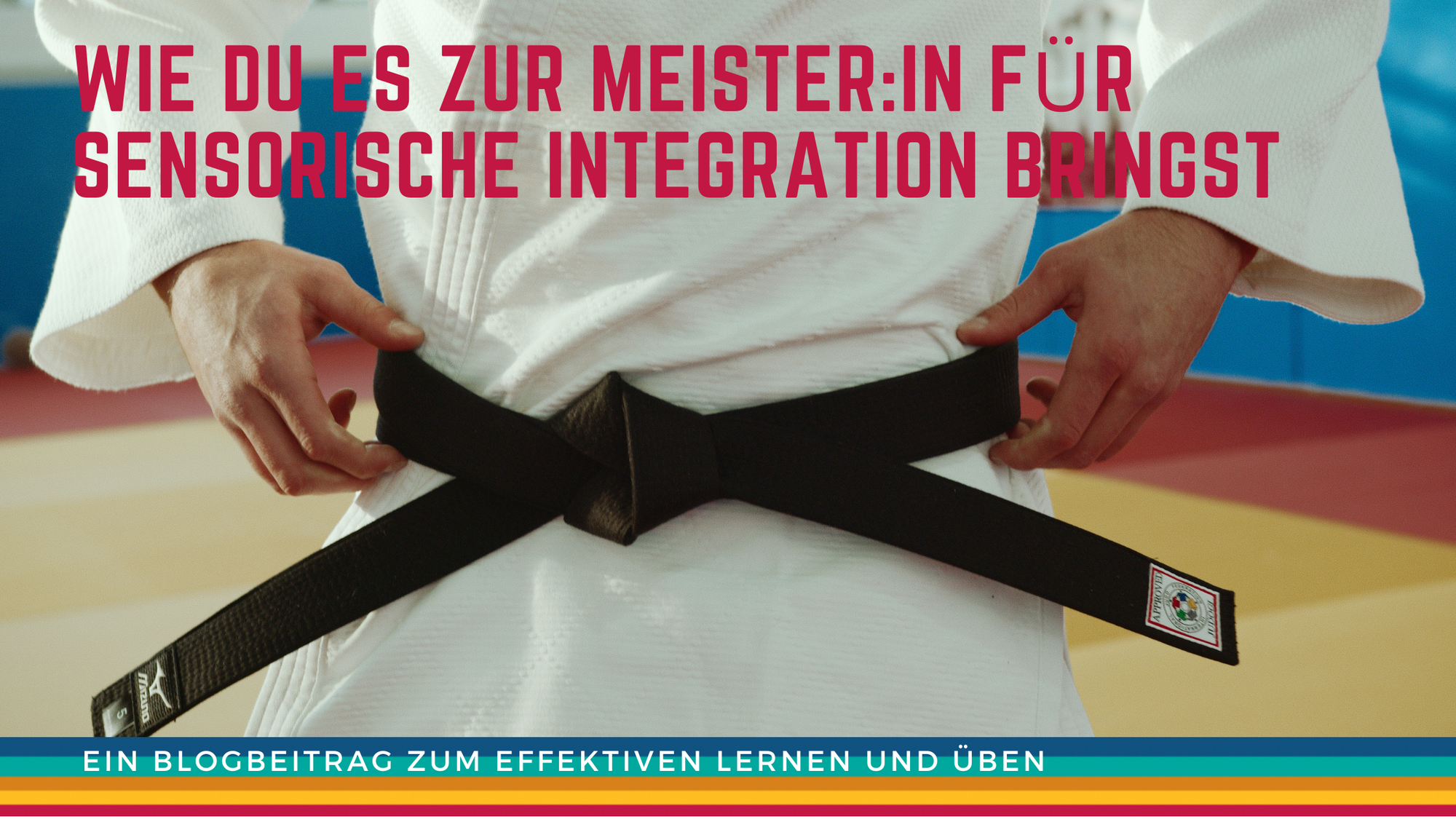 Wie du es zur Meister:in für Sensorische Integration bringst