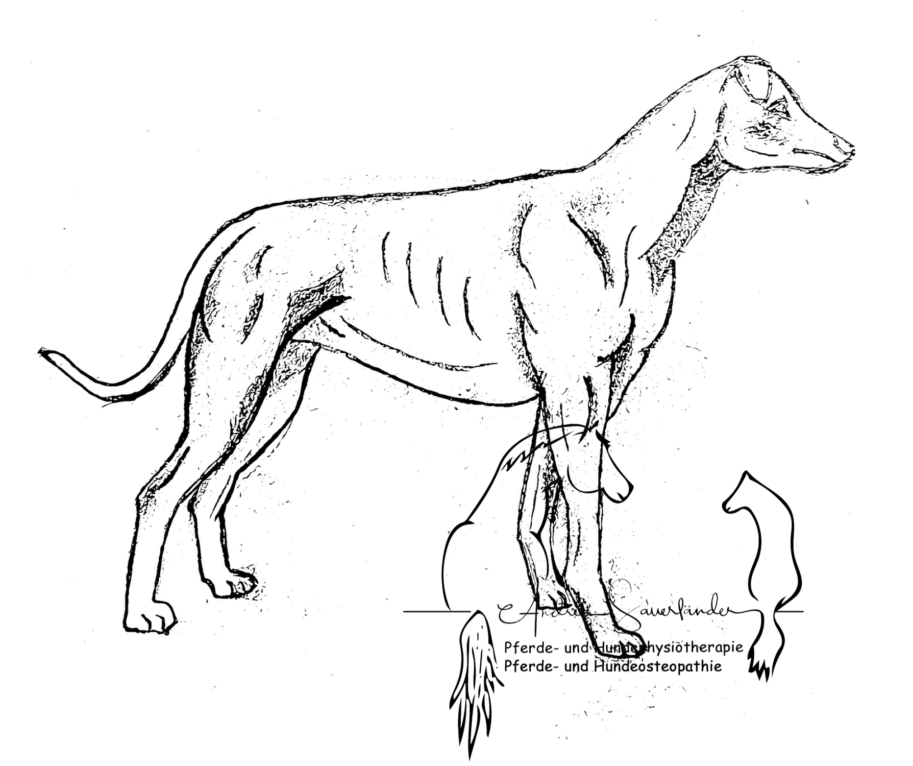 Blog Hunde und Pferdeosteopathie Dortmund