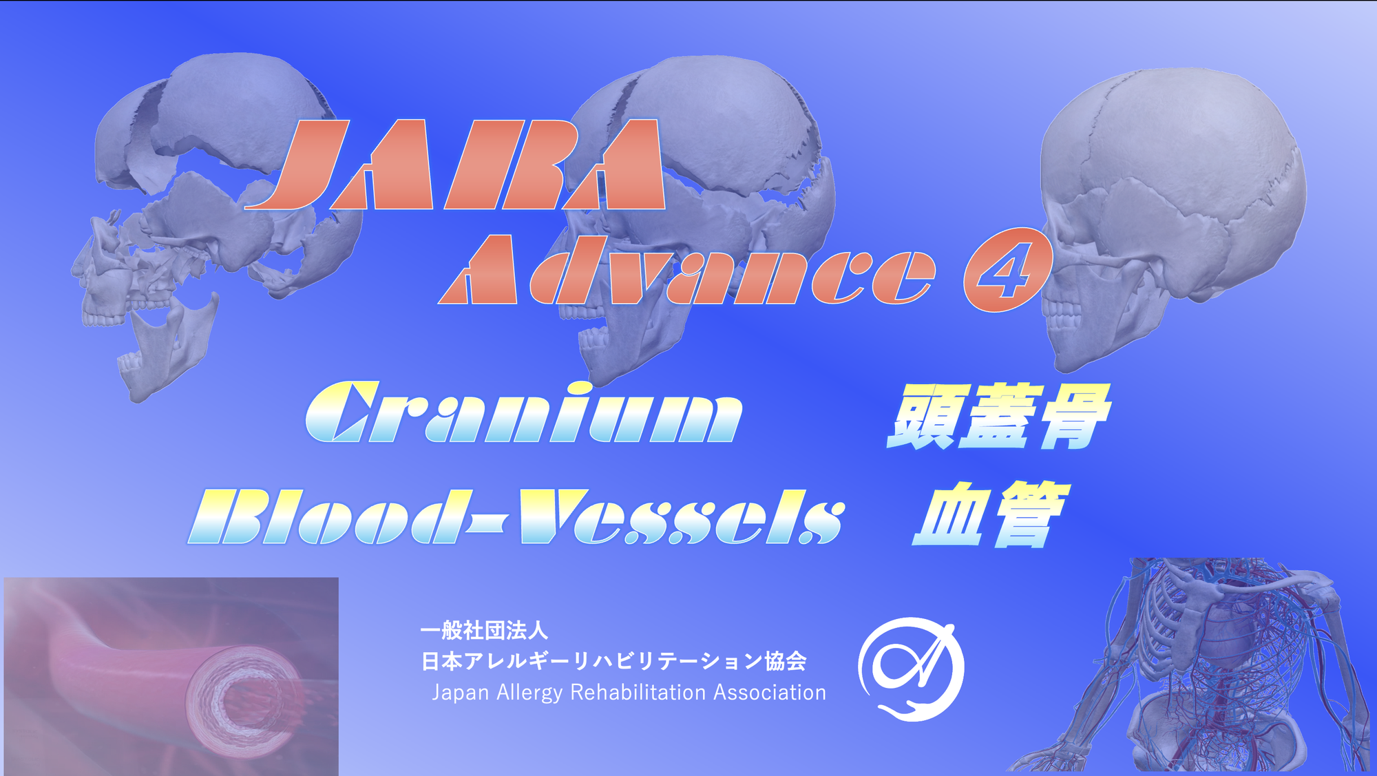 頭蓋骨・血管：Advance course ❹