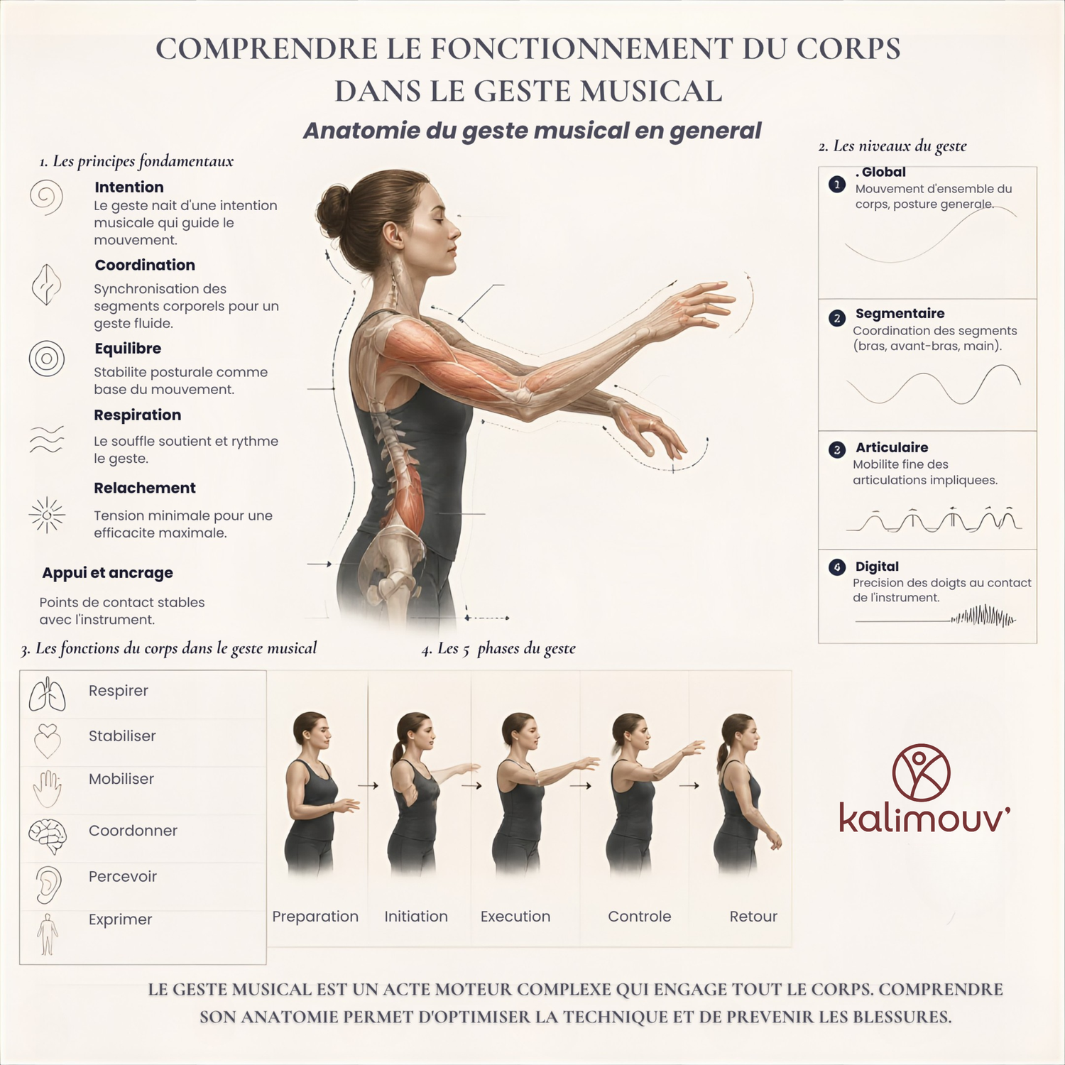 Comprendre le corps et le geste